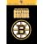 NHL: The History of the Boston Bruins