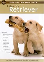 Houndstar's New Owner's Guide To The Labrador Retriever [DVD]