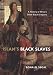 Islam's Black Slaves: A History of Africa's Other Black Diaspora