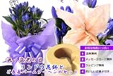 【9/20（月）お届け】敬老の日　リンドウ花鉢とご長寿バームクーヘンのセット【送料無料】【敬老の日ギフト】　敬老の日ラッピング付き【指定日限定】【沖縄・離島は配送いたしません】