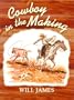 Cowboy in the Making (Tumbleweed)
