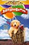 Napoleon [VHS]