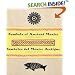 Symbols of Ancient Mexico: 18 Rubber Stamps