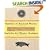 Symbols of Ancient Mexico: 18 Rubber Stamps