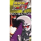Dragon comedienne Gt: Baby - Incubation (Unct)