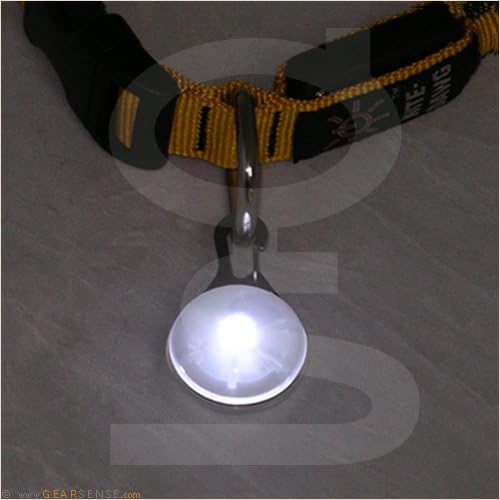 Clip-on LED Go Anywhere Light for You or Your Dog, Cat or Any Pet, White