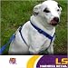LSU Tigers Purple Dog Harness