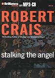 Stalking the Angel