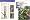 Encyclopedia of Plant Care: The Comprehensive Guide to Growing More Than 3,300 Plants for Your Garden and Home (Miracle Gro)