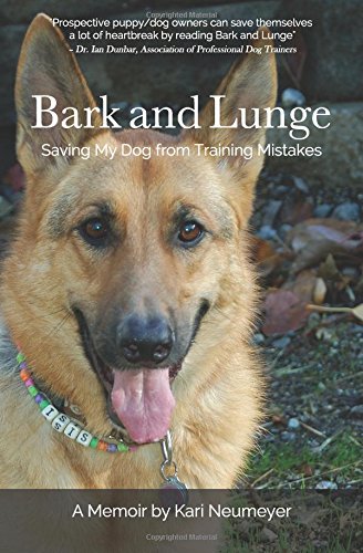 bark and lunge saving my dog from training mistakes