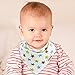 Itzy Bitsy Baby Bandana Drool Bibs Unisex 5-Pack Absorbent Cotton Modern Baby Gift Set for Boys and Girls