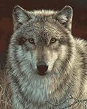 Bucilla 21678 Paint by Number, Gray Wolf