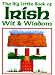 The Big Little Book of Irish Wit & Wisdom [BIG LITTLE BK OF IRISH WIT & W]