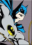 Batman Magnet~ Rope~ Approx 2.5