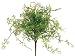 10 Baby?s Tears Bush Green (Pack of 12)