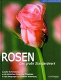 Rosen