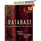 Database--Principles, Programming, and Performance by Patrick O'Neil and Elizabeth O'Neil