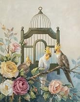 Cockatiel and Roses, Roses Art Poster Print by Maxine Johnston, 22x28