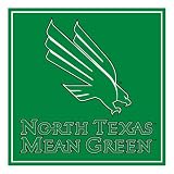 Turner North Texas Mean Green Paper Cube (8080348)