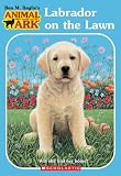 Labrador on the Lawn