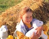 Eigenschaften BIG 4002 / BIG 4002 - Sheep
