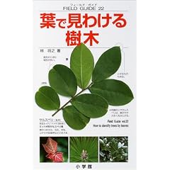 �t�Ō��킯����� (�t�B�[���h�E�K�C�h)