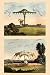 Art Poster, Fanciful Garden Shelters - 18.75 x 27.5