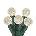 50 Raspberry G12 Warm White LED Christmas Light Set; Green Wire