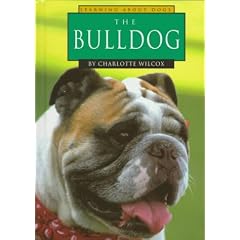 The Bulldog (Wilcox, Charlotte. Learning About Dogs.)