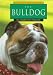 The Bulldog (Wilcox, Charlotte. Learning About Dogs.)