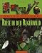 Books : Young Oxford - Reise in den Regenwald