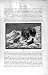 Natural History 1894 Musk-Ox Wild Dogs Skeleton Mouflon