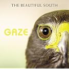Gaze