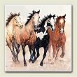 AbsorbaStone Coaster set ~ Wild Horses - Stepping Out ~4 Tile Drink Coasters ...