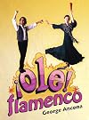 ¡Olé flamenco