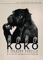 Koko