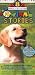 Search : Animal Stories (Boxset)