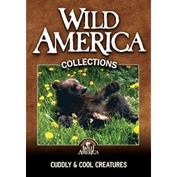 Cuddly & Cool Creatures Collection