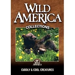 Cuddly & Cool Creatures Collection