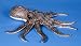 Toys : Cuttlefish (Cuttle Fish) Puppet (P8165)