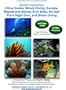 Bonaire Experience: Hilma Hooker Wreck Diving, Karpata, Rappel and Nearby Dive Sites, the Salt Piers Night Dive, and Shore Diving