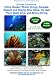 Bonaire Experience: Hilma Hooker Wreck Diving, Karpata, Rappel and Nearby Dive Sites, the Salt Piers Night Dive, and Shore Diving