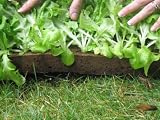 Garden Pad: Lettuce