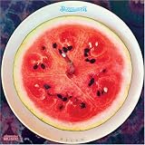 Sweetwater - Melon