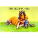 The Sleep Ponies