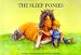 Books : The Sleep Ponies