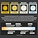 LOHAS LED Candelabra Bulbs, 6 Watt Dimmable Daylight White 5000K LED Chandelier Bulb, 60 Watt Light Bulbs Equivalent, E12 Candelabra Base,550 Lumens LED Lights, Torpedo Shape LED Bulb