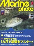 Marine Photo (マリンフォト) 2008年 08月号 [雑誌]