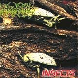 Insects