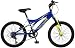 mountain bike gear What kind of gear oil should I use on my dirty mountain bike?